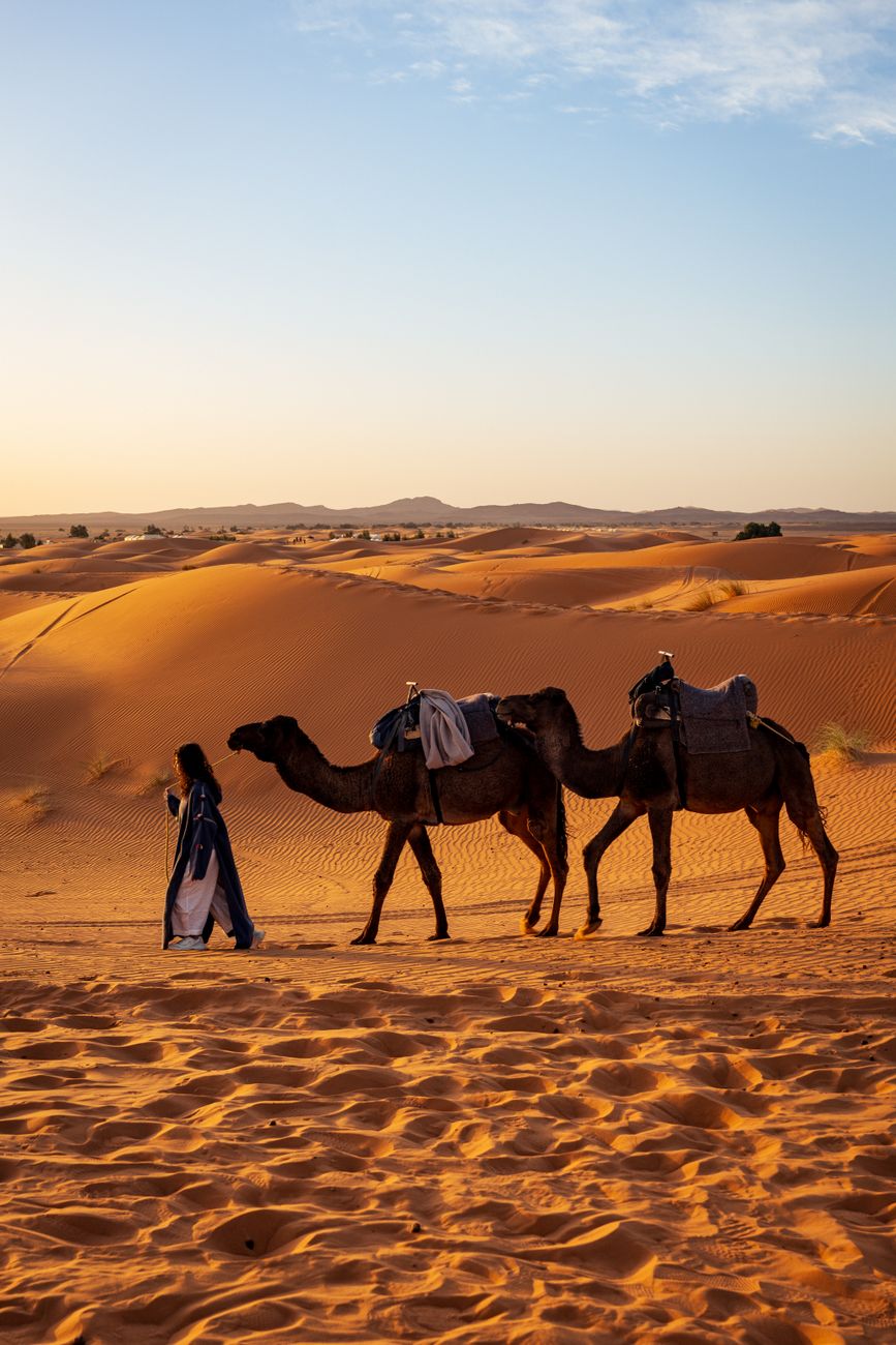Wind-shaped orange dunes of Erg Chebbi in the Moroccan Sahara