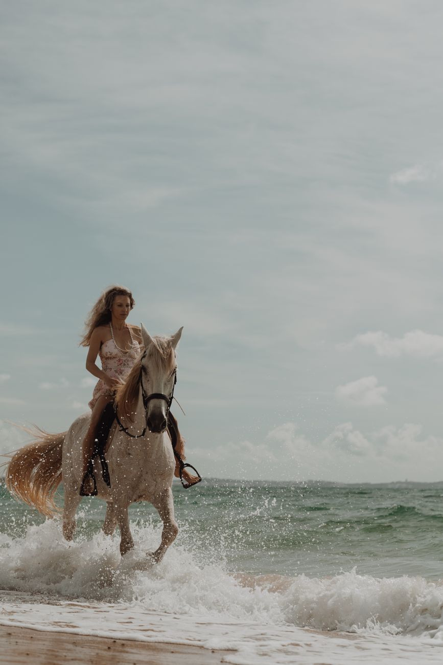 Rider on horseback along a beach