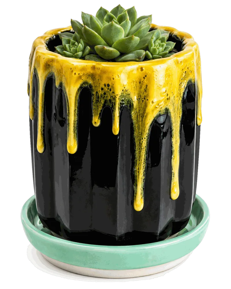Black faceted planter with yellow glaze poured over the rim, on a mint saucer