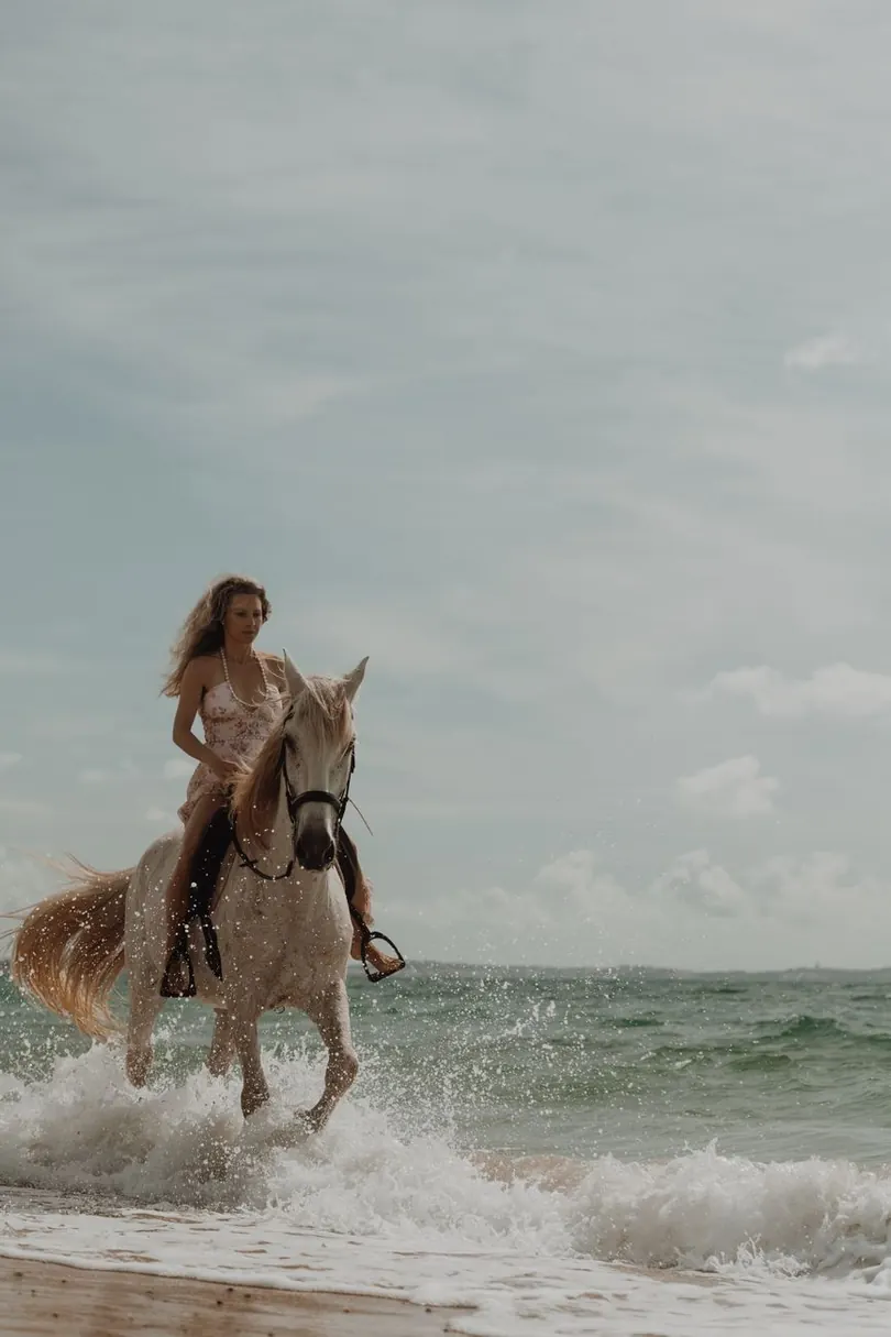 Rider on horseback along a beach
