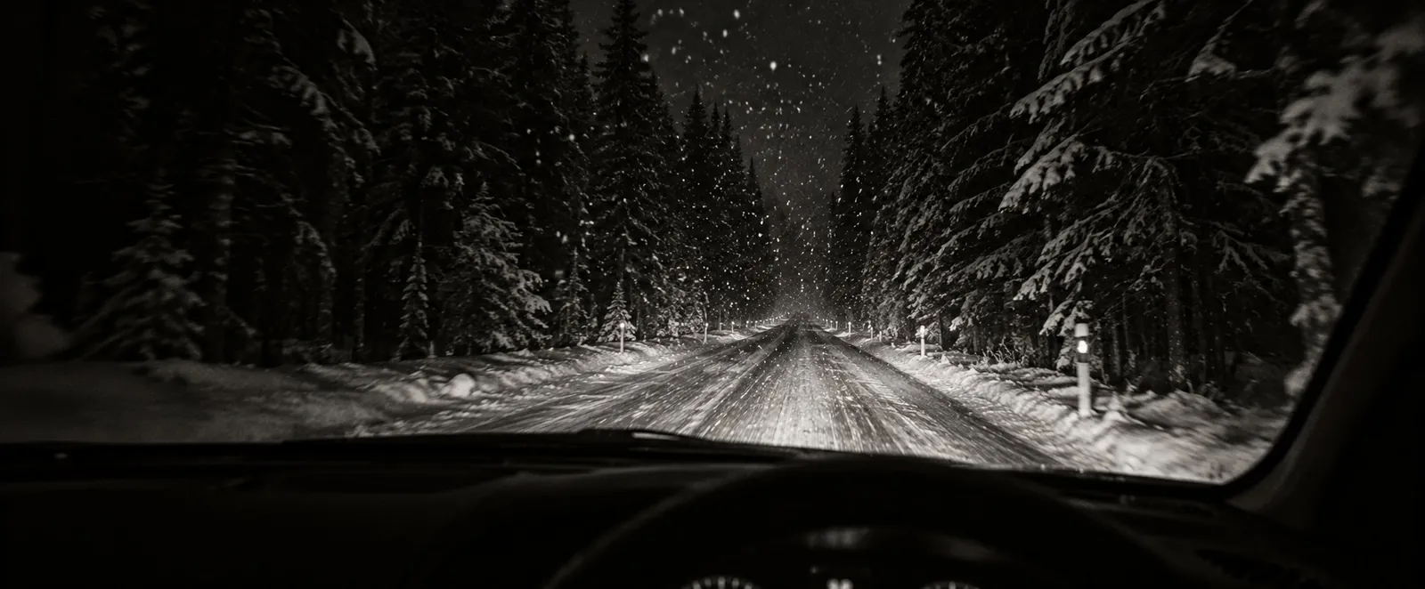 Headlights on a snowy forest road at night, seen from the driver's seat