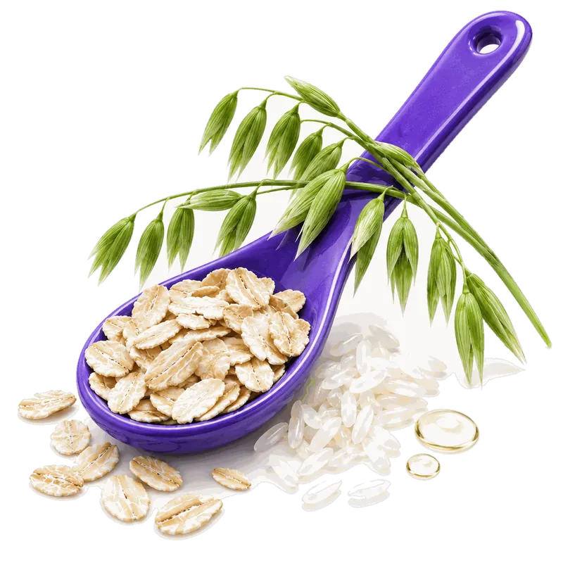 A violet spoon of oat flakes with green oat sprigs and a spill of rice grains