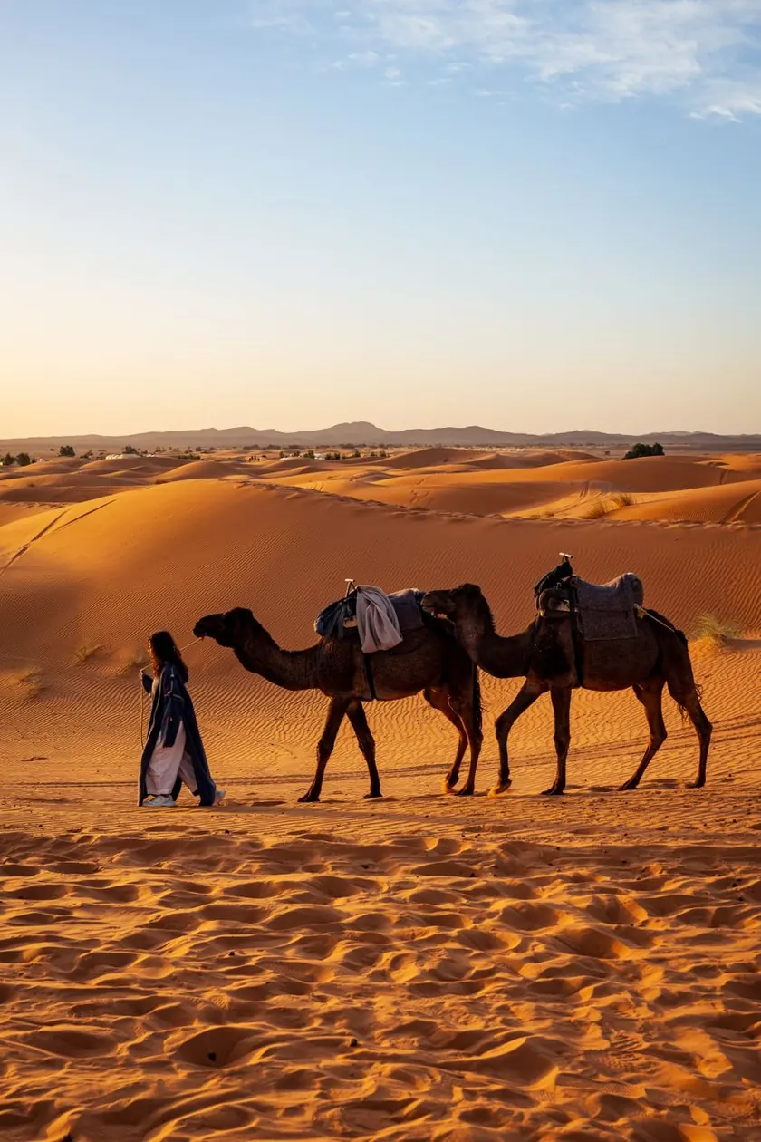 Wind-shaped orange dunes of Erg Chebbi in the Moroccan Sahara