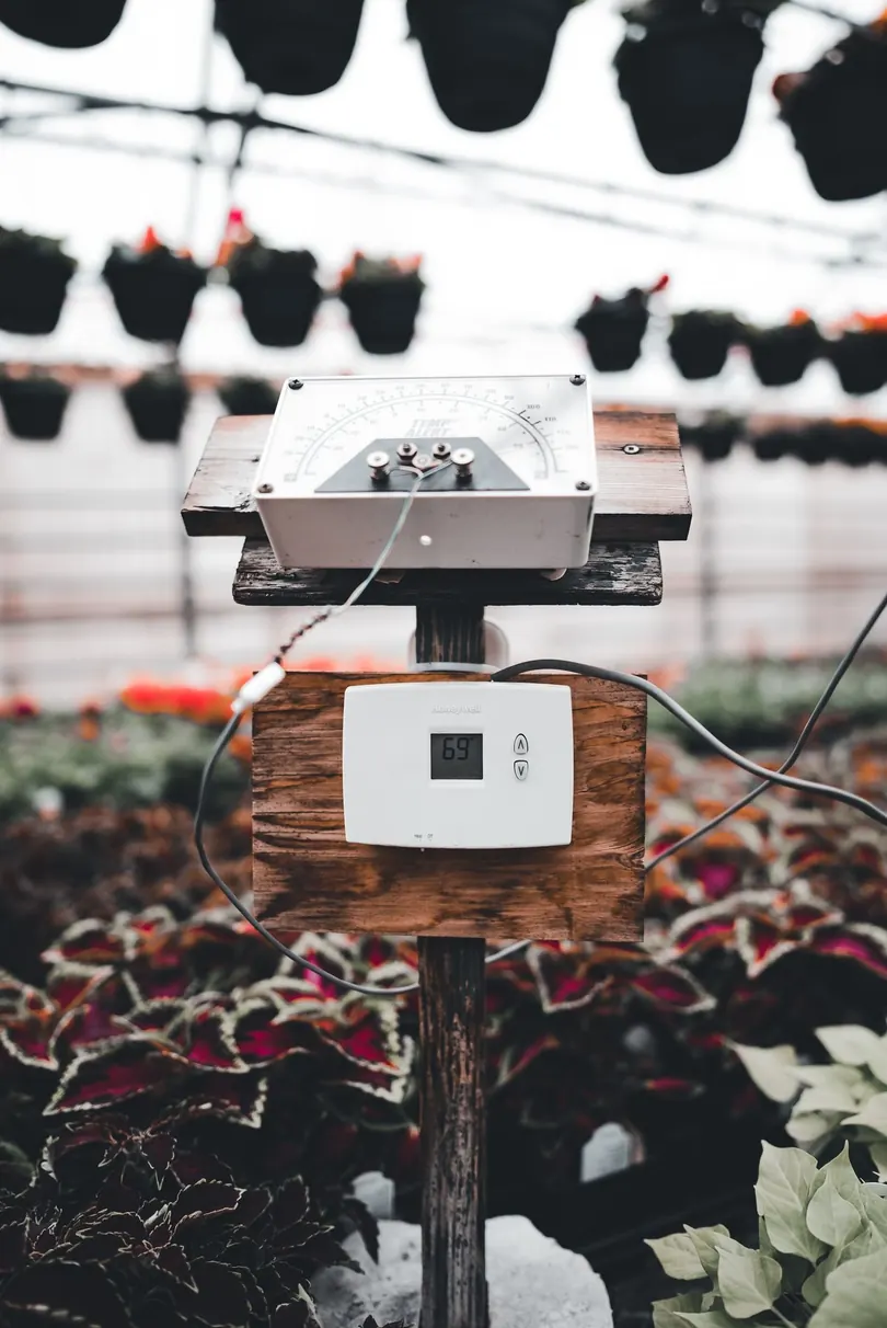 A white sensor box mounted on a post among rows of flowering plants inside a greenhouse